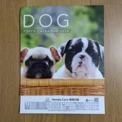 Item thumbnail for item 16b5e205-8040-41c2-80bd-80fe7475f076