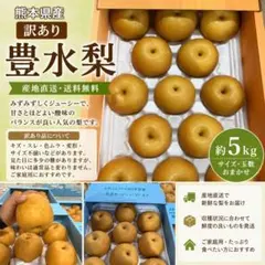 千葉県産 船橋のなし 幸水 28玉 約10kg 秀 千葉県産 船橋のなし 幸水 28玉 約10kg 秀 - メルカリ