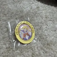 美少女戦士セーラームーン ピンバッジのサムネイル