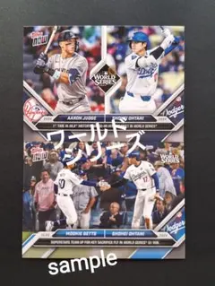 ミツクニ様 リクエスト 2点 まとめ商品