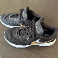 レブロン20 バスケットボール