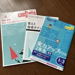 【新品未使用】考える力プラス　小学2年生 教材見本2年生｜考える力プラス講座｜進研ゼミ小学講座｜