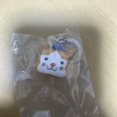 プロ野球めじるしアクセサリー