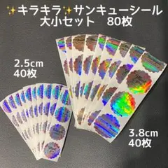 80枚♪ キラキラ　オーロラカラー　大小セット　花柄　素敵　ホログラム