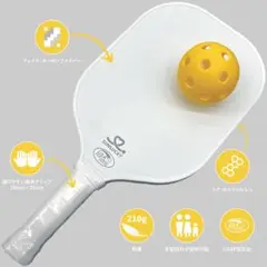 ピックルボール パドル USAP 認定品