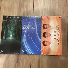 少年隊/ユーア・マイ・ライフ～美しい人へ　他　3枚