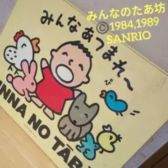 MINNA NO TĀBŌ 収納ケース サンリオ 平成レトロ MINNA NO TĀBŌ 収納ケース サンリオ 平成レトロ - メルカリ