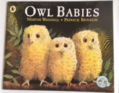 人気英語絵本 「Owl Babies」 DVD付き - メルカリ