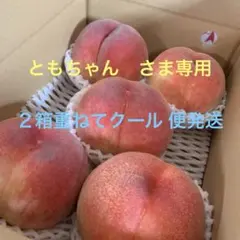 めっちゃ甘い山梨一宮の木のてっぺんから収穫した　超特大サイズを5個詰めて発送