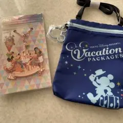 ディズニー40周年バッグチャームセット