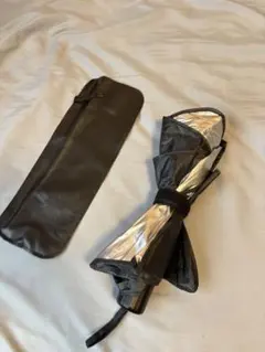 Item thumbnail for item 2ce16397-7b1f-48f1-9edb-ea6151f69020