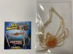 ワサビ様 リクエスト 2点 まとめ商品