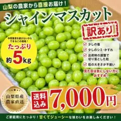 山梨県産 訳あり 家庭用 シャインマスカット 8房 箱込み5.2kg ②