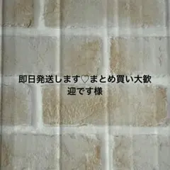 即日発送します♡まとめ買い大歓迎です様　ロブロックス子供用立体マスク　110枚