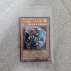 遊戯王OCG 日本選手権予選 プロモ The Lady's Protectors - メルカリ