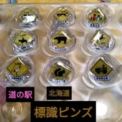 道の駅　栃木県版　ピンズ　コンプリート品 ガチャで当てよ！イチゴとゴールドの限定ピンズ 栃木県内25の道の駅で