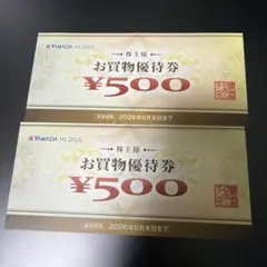 ヤマダホールディングス お買物優待券 ¥500 2枚