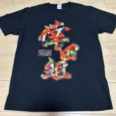 2013年 倖田來未 LIVE TOUR 2013 JAPONESQUE グッズ - メルカリ