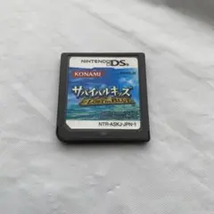 サバイバルキッズ Lost in Blue