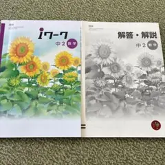 iワーク 中2数学 解答・解説