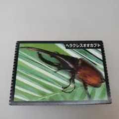 ヘラクレスオオカブト トレーディングカード