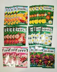 668】ヴィンテージUSAシードパケット16枚セット◇野菜の種袋シード