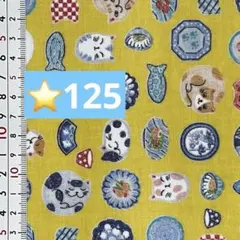⭐️125ラミネート生地1メートル