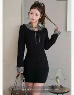 【Darich ダーリッチ】レイヤードライクニットミニワンピース　フリーサイズ