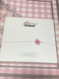 ミオヤマザキ　anti-these 正体作　CD アルバム