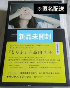 Item thumbnail for item 5e744867-c8e9-4e3e-89dd-cea338aea086