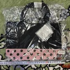 Item thumbnail for item 68eb2969-8567-4dd8-a4d3-5f2fece9f8ad