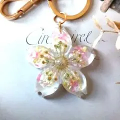 ふんわりピンク✴さくら型レジンキーホルダー