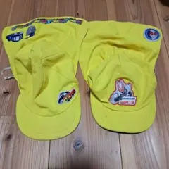 Item thumbnail for item fbca104b-d3dd-47e0-884a-30e8b9730cd7