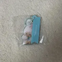 モンチッチ2連アクリルめじるしチャーム チムたん(購入意志のないいいね❌)