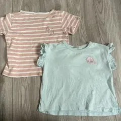 プティマイン　100