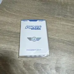 スキズ ペンミ パスポートセット バンチャン - メルカリ