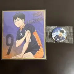 劇場版ハイキュー!! ゴミ捨て場の決戦展 色紙＆缶バッジセット