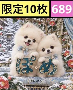 限定10枚！　レアパネル生地　無くなり次第終了です　6犬種パネル