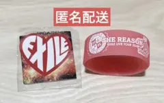 EXILE LIVE TOUR 2025 ラバーバンド、ステッカーのサムネイル