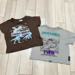 恐竜　半袖tシャツのサムネイル