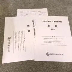 洗足学園中学校 2019年 帰国生入学試験問題 洗足学園 英語入試 - メルカリ