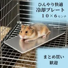 ◇ひんやりアルミプレート 冷却プレート ハムスター 小動物 暑さ対策 冷感のサムネイル