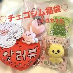 チェゴシム福袋♡新品４点セット！パスケース、前髪クリップ、アクリルチャームなど♡