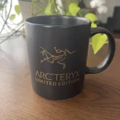 ARC'TERYX SONGTSAM エナメルマグカップ 非売品 - メルカリ