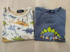 kladskap クレードスコープ 恐竜 Tシャツ 2枚セットのサムネイル