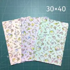 ランチマット 30×40 3枚組 インコ柄