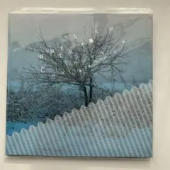 Chihei Hatakeyama Winter Storm CD