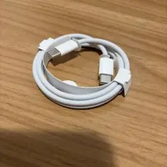 Apple純正USB-C to C 充電ケーブル