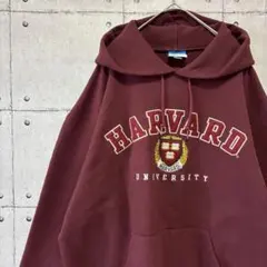 国内未発売モデル・正規ライセンス商品】ハーバード大学 アンダー