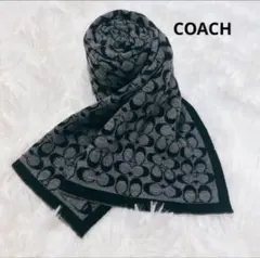 コーチマフラーメンズ